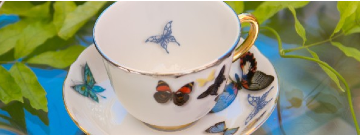 DESTAQUES > Lançamentos > Premios e Distinções > Bar e Enologia > Azul Clássico